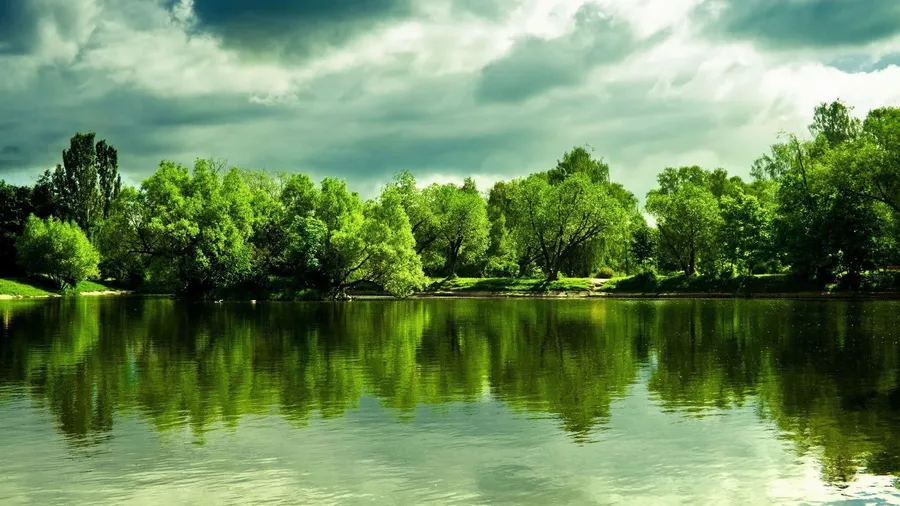 Caixa Cenário Jardim